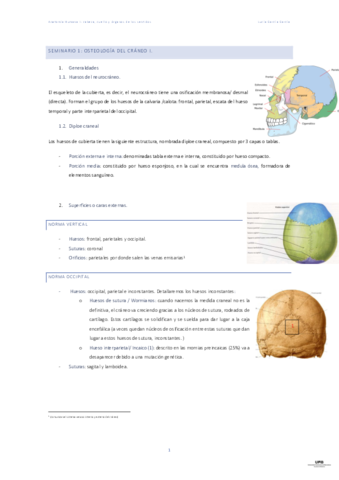 Definitivos-de-Anatomia-Humanan-osteologia.pdf