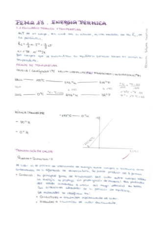 TEMA-13.pdf