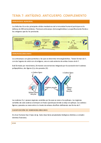TEMA-7-MICRO.pdf
