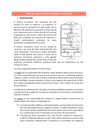 TEMA-24.pdf