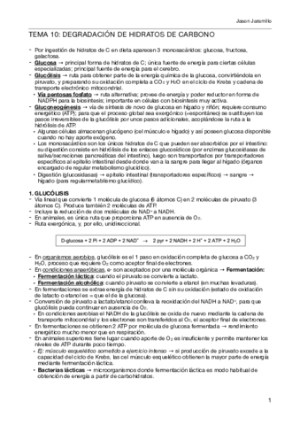 T10-Degradacion-de-hidratos-de-carbono.pdf
