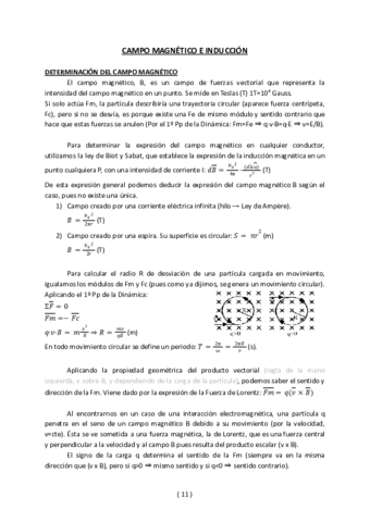 Conceptos-teoricos-FISICA-EBAU-Campo-magnetico-e-induccion.pdf