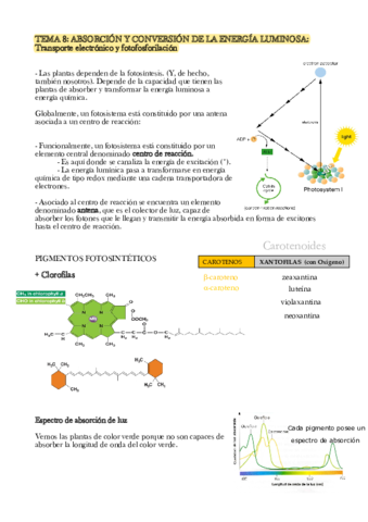 Integracion-vegetal-Temas-8-14.pdf