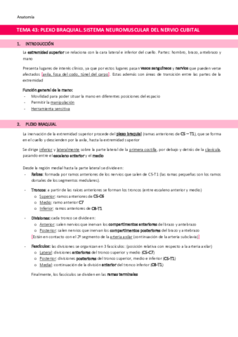 TEMA-43-Plexo-braquial.pdf