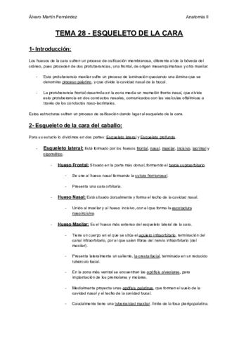 TEMA-28-ESQUELETO-DE-LA-CARA.pdf