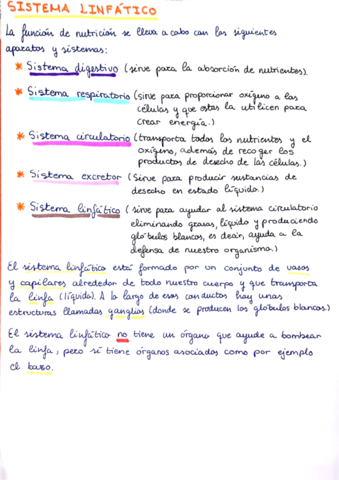 apuntes.pdf
