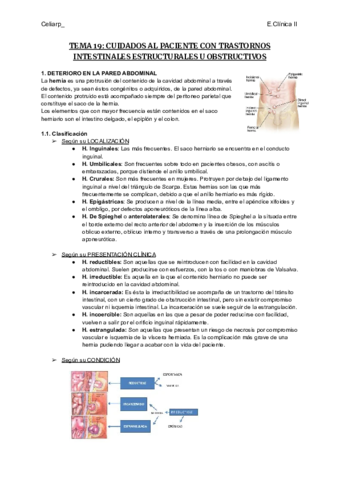 TEMA-19-CUIDADOS-AL-PACIENTE-CON-TRASTORNOS-INTESTINALES-ESTRUCTURALES-U-OBSTRUCTIVOS.pdf
