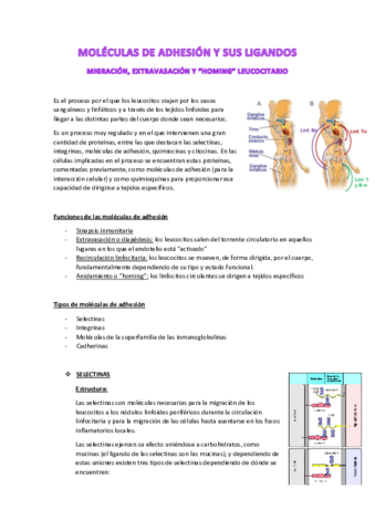 Tema-10. Moléculas de adhesión