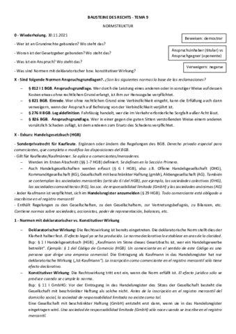 Tema-9-Normstruktur.pdf