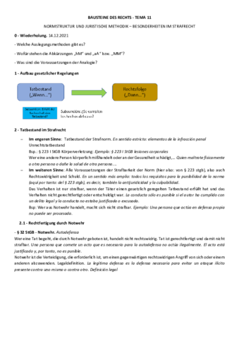 Tema-11-Normstruktur-und-juristische-Methodik.pdf