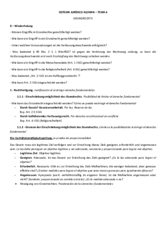 Tema-6-Grundrechte.pdf
