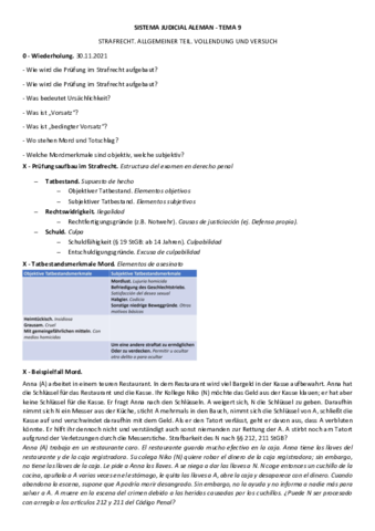 Tema-9-Strafrecht.pdf