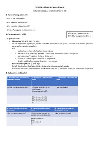 Tema-8-Einfuhrung-in-das-deutsche-Strafrecht.pdf