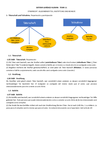 Tema-11-Strafrecht.pdf