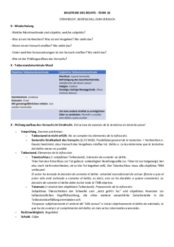 Tema-10-Strafrecht.pdf