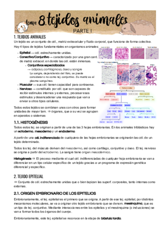 Tema 8 Parte I.pdf