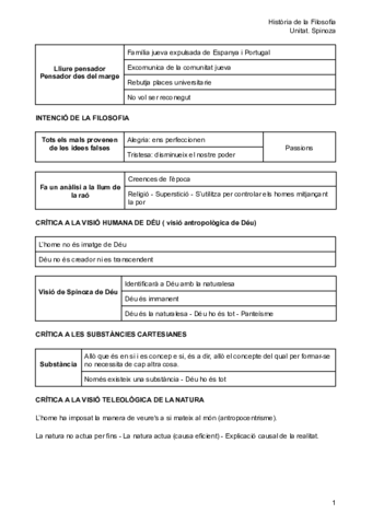 Unitat-Spinoza.pdf