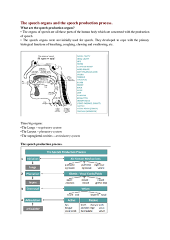 Physiology-of-speech-production.pdf