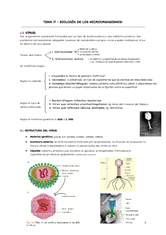 TEMA-17-BIOLOGIA-DE-LOS-MICROORGANISMOS-2.pdf