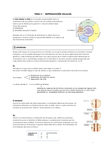 TEMA-11-REPRODUCCION-CELULAR.pdf