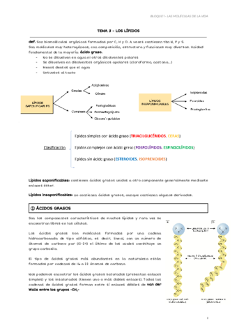 TEMA-3-LOS-LIPIDOS.pdf
