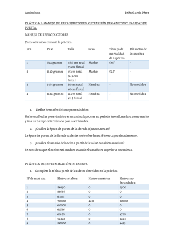 Informe-Practica-2-Belen-Garcia-Perez.pdf