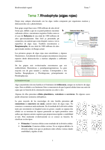 Biodiversidad-vegetal-Tema-7.pdf