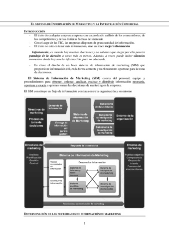 Tema-1-SIM.pdf