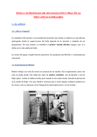 TEMA-2-ESTRATEGIAS-DE-SOCIALIZACION-Y-PRACTICAS-EDUCATIVAS-FAMILIARES.pdf