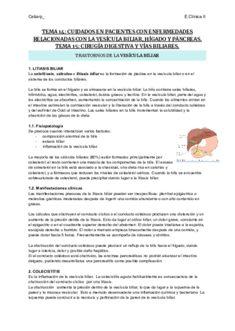 TEMA-14-Y-15-CUIDADOS-EN-PACIENTES-CON-ENFERMEDADES-RELACIONADAS-CON-LA-VESICULA-BILIAR-HIGADO-Y-PANCREAS.pdf