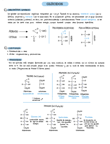 Glucidos-.pdf