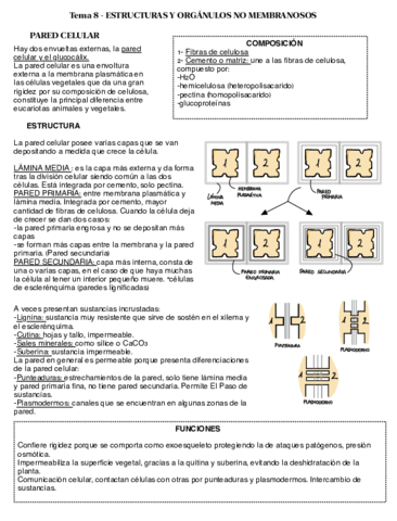 Nota-13-dic-2020.pdf