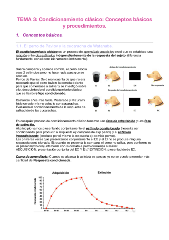 Tema 3.pdf