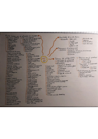 esquema-PAP-UD2.pdf