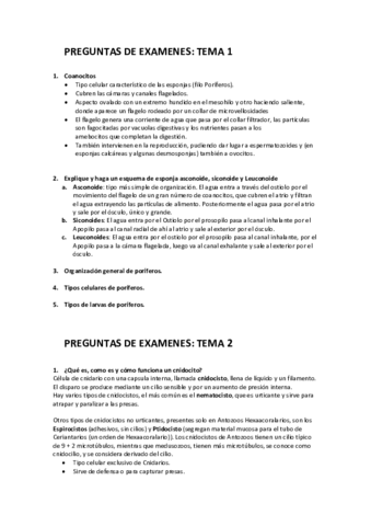 RECOPILACIÓN PREGUNTAS DE EXAMENES.pdf