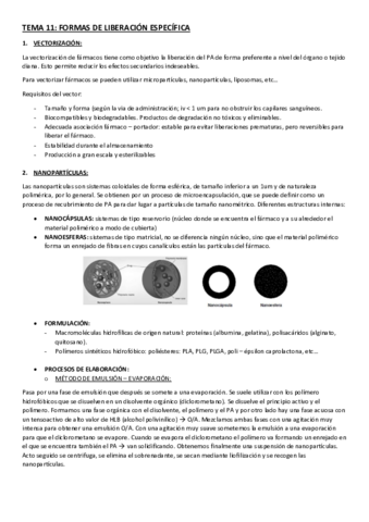 TEMA-11.pdf