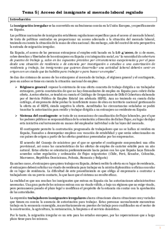 tema-5-acceso-del-inmigrante-al-mercado-laboral-regulado.pdf