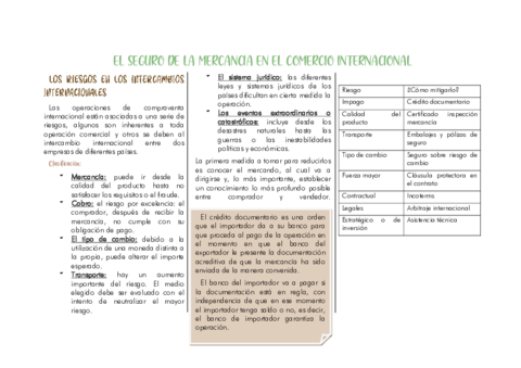 el-seguro-de-la-mercancia-en-el-comercio-internacional.pdf