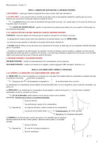 Esquemas-temas-1-5.pdf