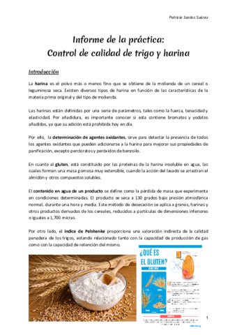 Informe-de-control-de-calidad-Patricia-Santos.pdf