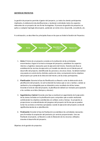 Resumen-PINF-de-Practicas-y-MADEJA.pdf
