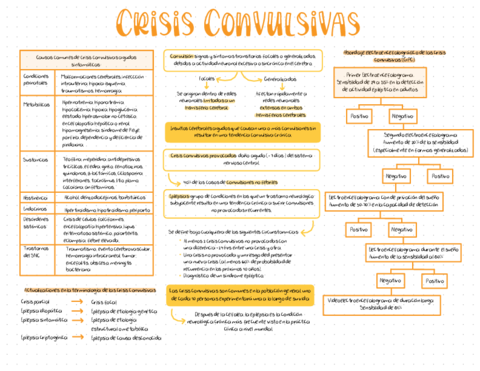 CRISIS-CONVULSIVAS.pdf