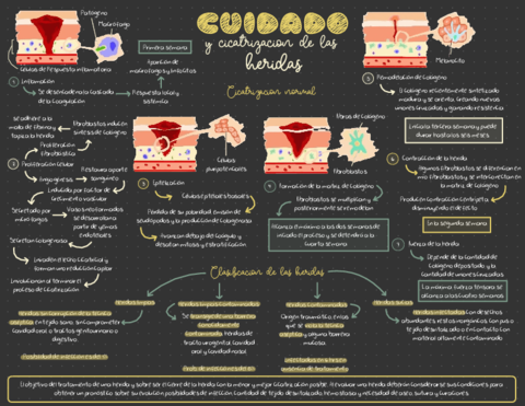 CICATRIZACION.pdf