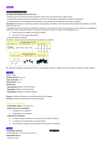 Biología.pdf