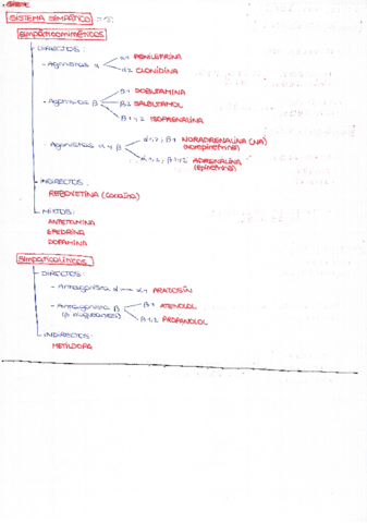 Esquema básico fármacos.pdf