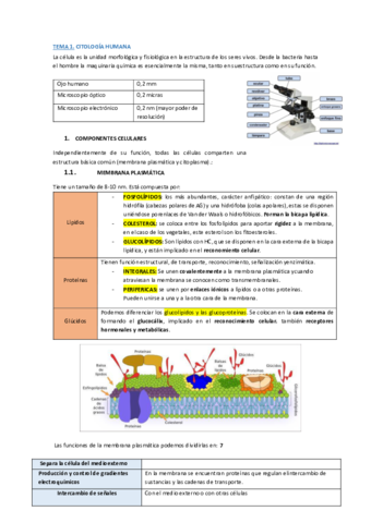 Organografia-apuntes-enfermeria.pdf