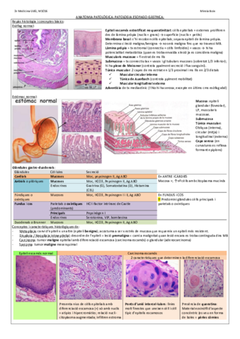 ANATOMIA-PATOLOGICA-esofago-gastrica.pdf