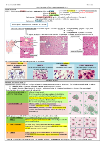 AP-patologia-hepatica.pdf