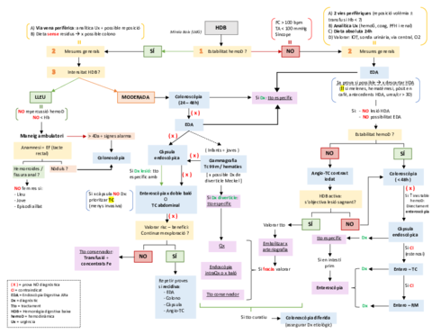 HDB-algoritme-ordinador.pdf