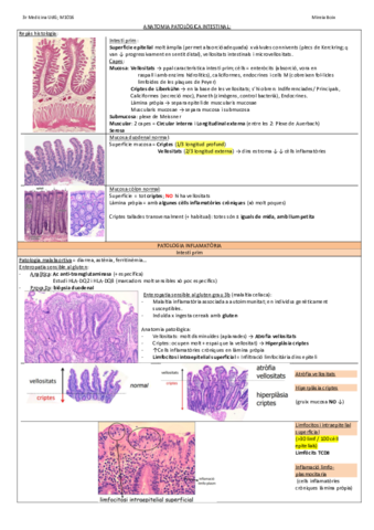 ANATOMIA-PATOLOGICA-INTESTINAL.pdf